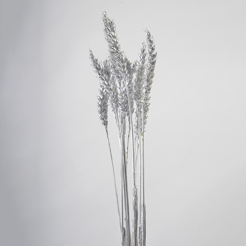 フロールエバー ドライフラワー シャイニートリーゴ ドライ シルバー FLDRS020-700 1束(ご注文単位1束)【直送品】