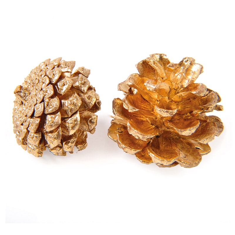 フロールエバー ドライフラワー　シャイニーパインコーン　ドライ ゴールド FLDRS028-701 1袋（ご注文単位1袋）【直送品】