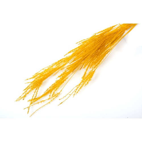 フロールエバー ドライフラワー　ファイングラス　ドライ マスタードイエロー FLDR0030-750 1束（ご注文単位1束）【直送品】