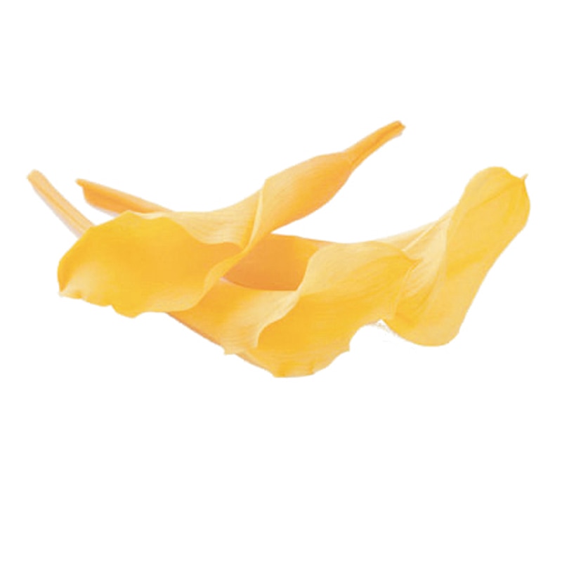 フロールエバー プリザーブドフラワー　ミニカラー ゴールデンイエロー FL380-17 5輪/箱（ご注文単位1箱）【直送品】