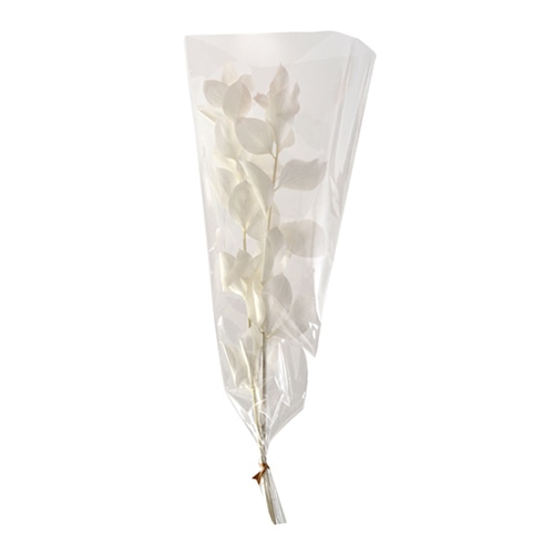 フロールエバー プリザーブドグリーン ルスカス ホワイト FL970-710 1束(ご注文単位1束)【直送品】