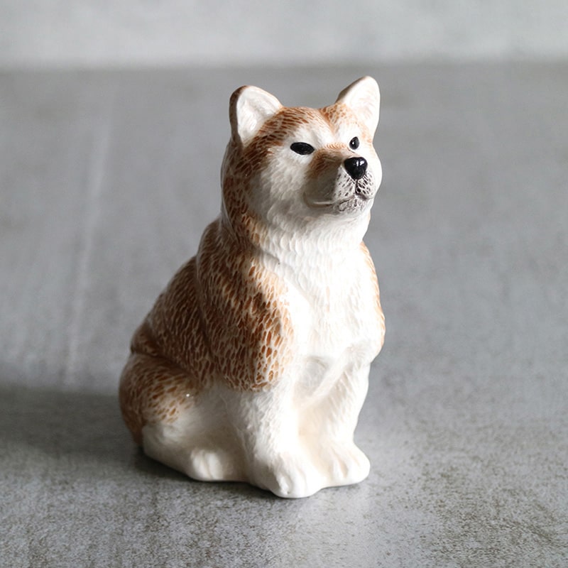 SHIBA DOG