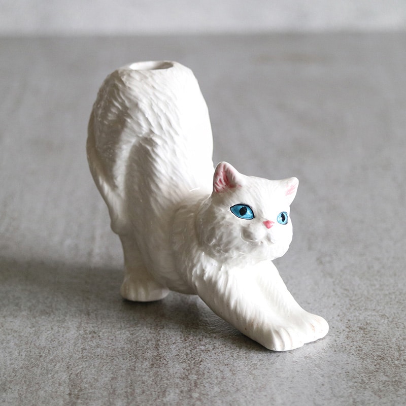 STRE CAT ホワイト