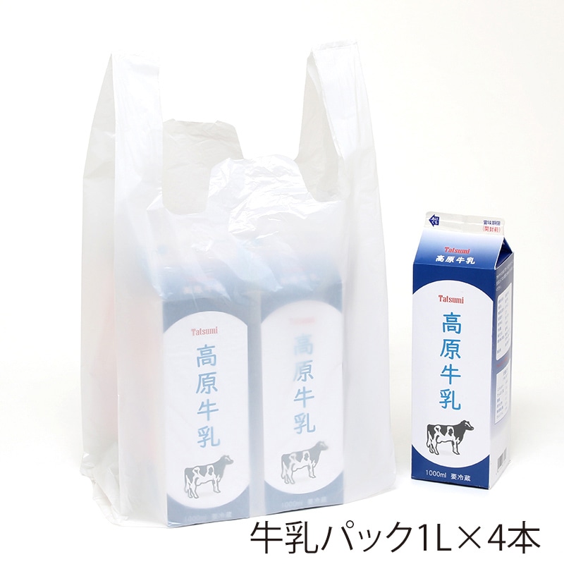 レジ袋 レジバッグ フックタイプ SK-40 100枚/袋