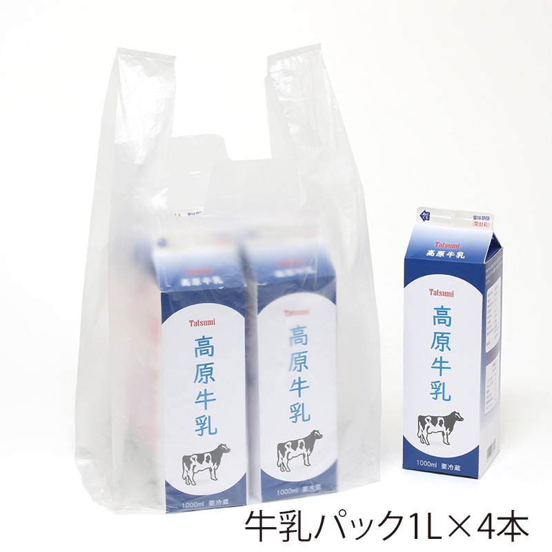 レジ袋 レジバッグ ナチュラル(半透明) フックタイプ SK-40 100枚/袋