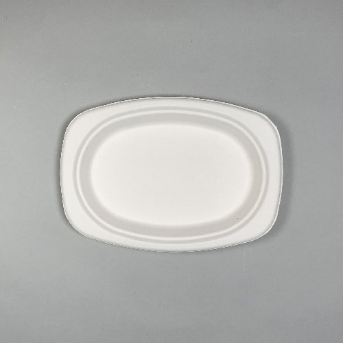 BMターゲット バガス　フードプレート DF-P116　20個/束（ご注文単位24束）【直送品】