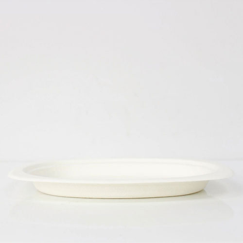 BMターゲット バガス フードプレート DF-P116 20個/束(ご注文単位24束)【直送品】