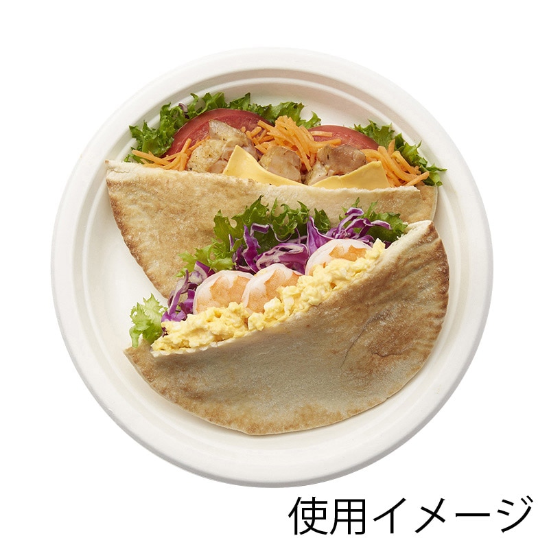 食品容器 バガスペーパーウェア 徳用プレート GPF-23 1袋(50枚パック)