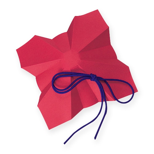 ヤマニパッケージ かけ和紙ひも付セット 175 K-637A 本体赤/紐青 100セット/箱(ご注文単位1箱)【直送品】