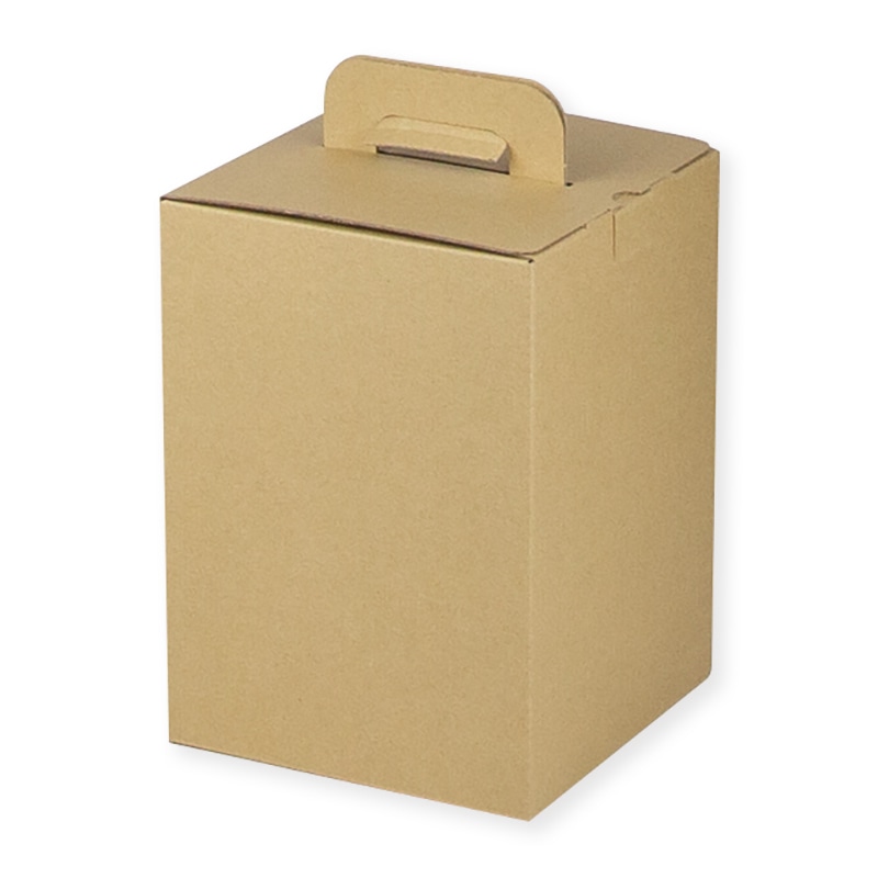 ヤマニパッケージ 300ml×5本宅配箱  K-1576 100枚/箱（ご注文単位1箱）【直送品】