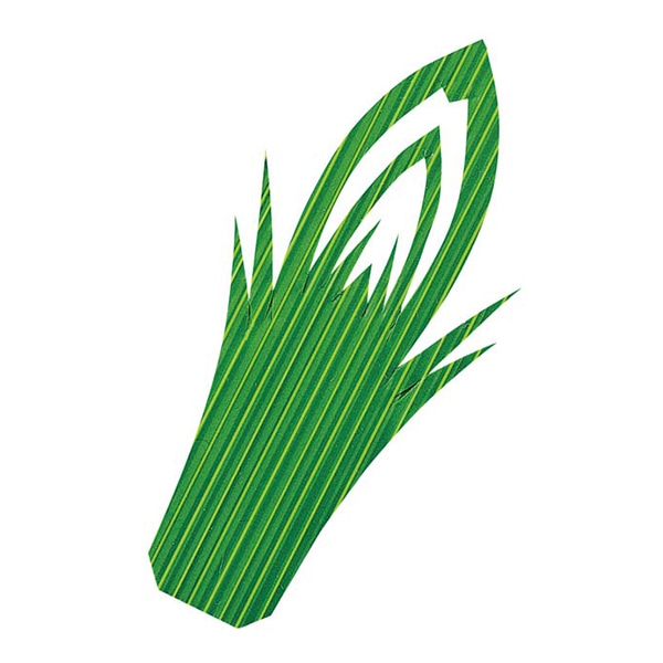 生バラン 松型1号(1000枚入) 1個(ご注文単位1個)【直送品】