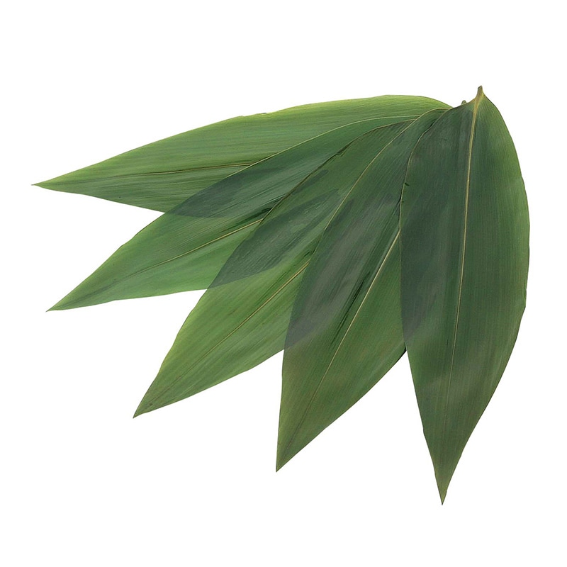 生笹ロング(200枚入)約90×320 1束(ご注文単位1束)【直送品】