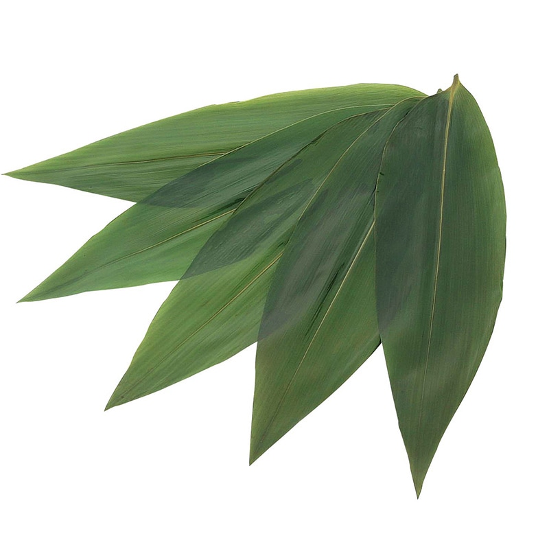 天然笹葉(100枚入)5142 8S 1個(ご注文単位1個)【直送品】
