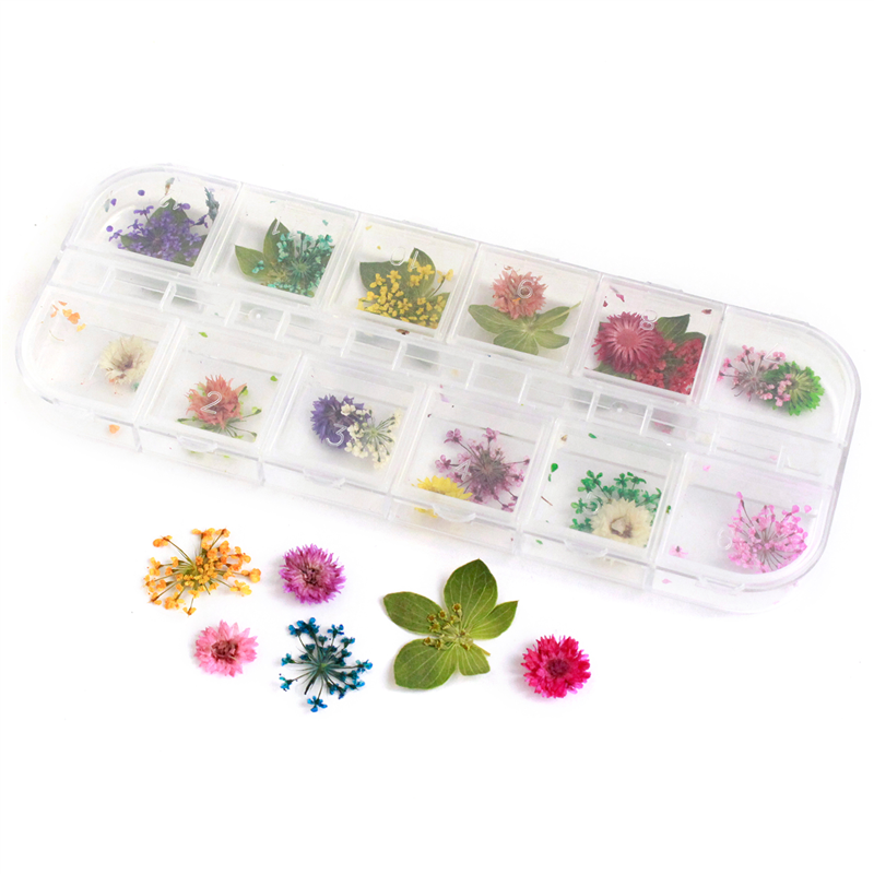 日本紐釦貿易(Nippon Chuko)NBK ドライフラワーアソートセット ミックス KE-FLO-A 1袋(ご注文単位1袋)【直送品】