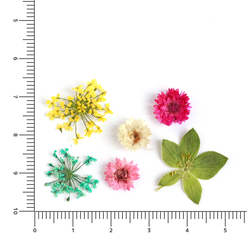 日本紐釦貿易(Nippon Chuko)NBK ドライフラワーアソートセット ミックス KE-FLO-A 1袋（ご注文単位1袋）【直送品】