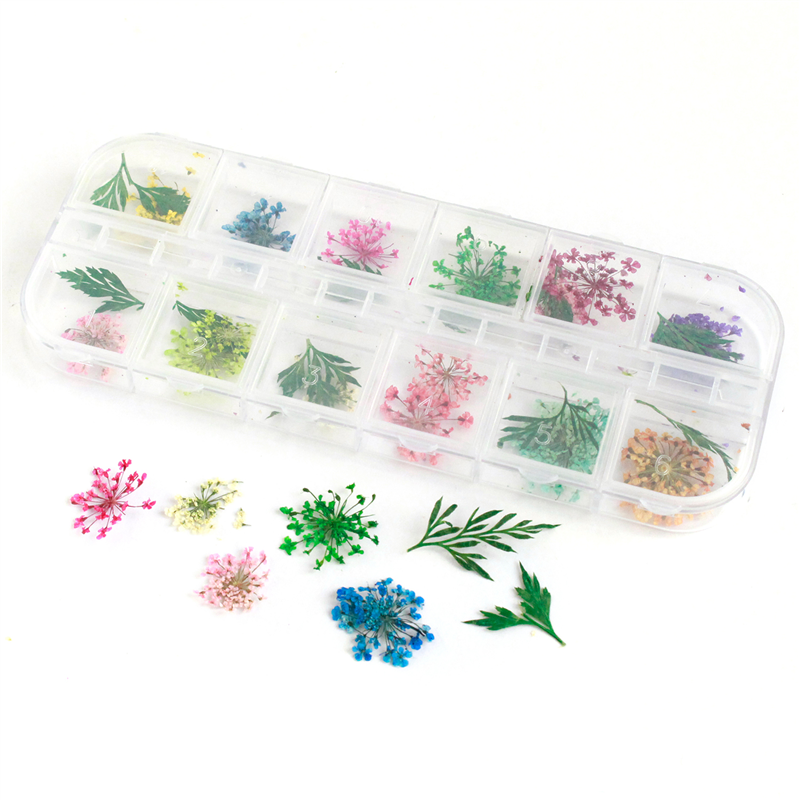 日本紐釦貿易(Nippon Chuko)NBK ドライフラワーアソートセット レースフラワー KE-FLO-B 1袋(ご注文単位1袋)【直送品】