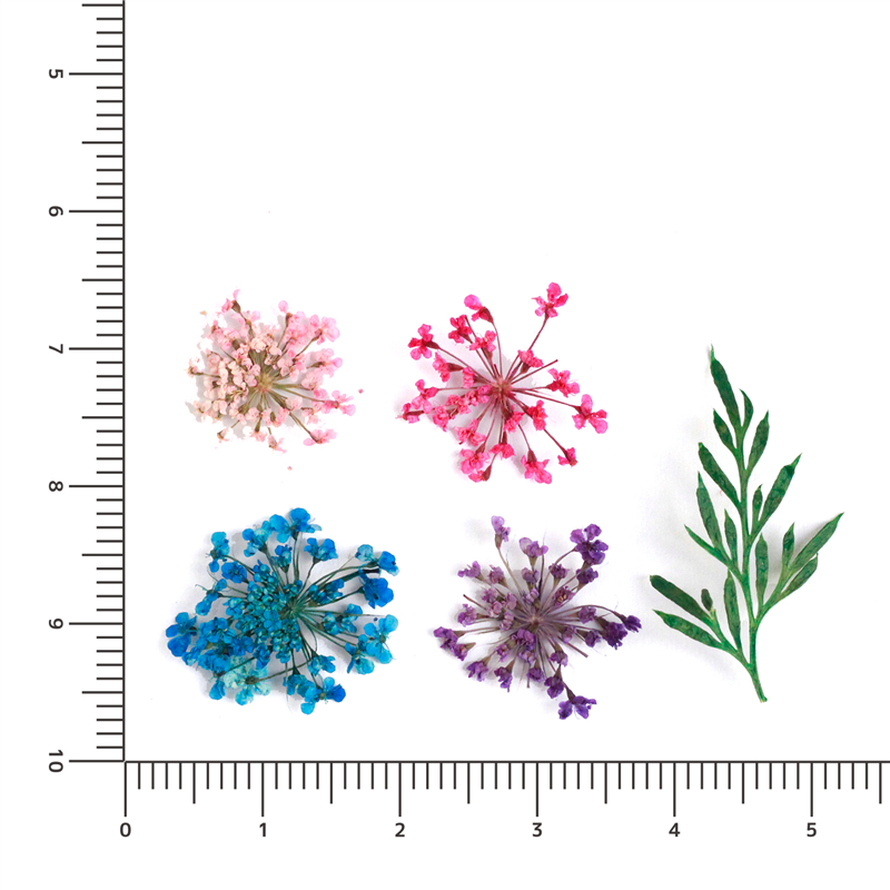日本紐釦貿易(Nippon Chuko)NBK ドライフラワーアソートセット レースフラワー KE-FLO-B 1袋(ご注文単位1袋)【直送品】