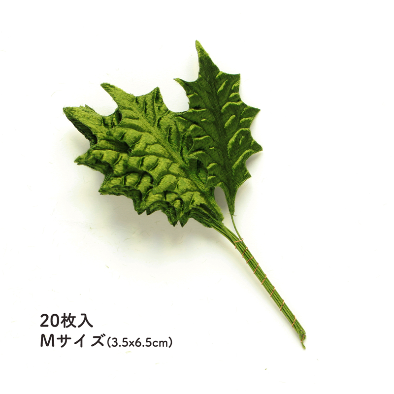 日本紐釦貿易 ひいらぎ Mサイズ 約3.5x6.5cm 20枚入 MAF-157 (ご注文単位1束)【直送品】