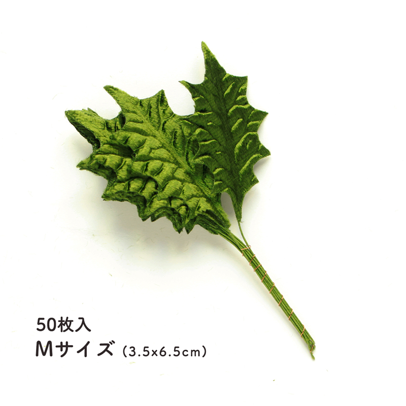 日本紐釦貿易 ひいらぎ Mサイズ 約3.5x6.5cm 50枚入 MAF-157-50 (ご注文単位1束)【直送品】