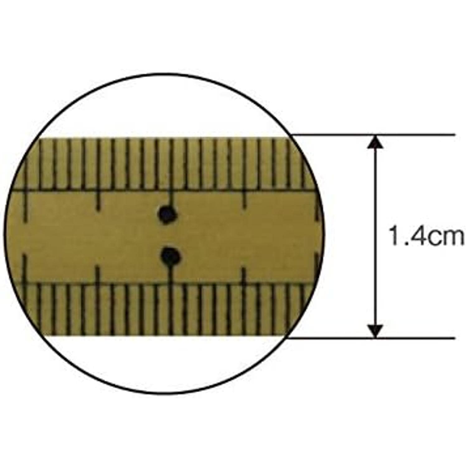 日本紐釦貿易 吉田製作所 竹尺 物差し・定規 竹製 20cm表記 細巾タイプ FTAKE20H (ご注文単位1本)【直送品】