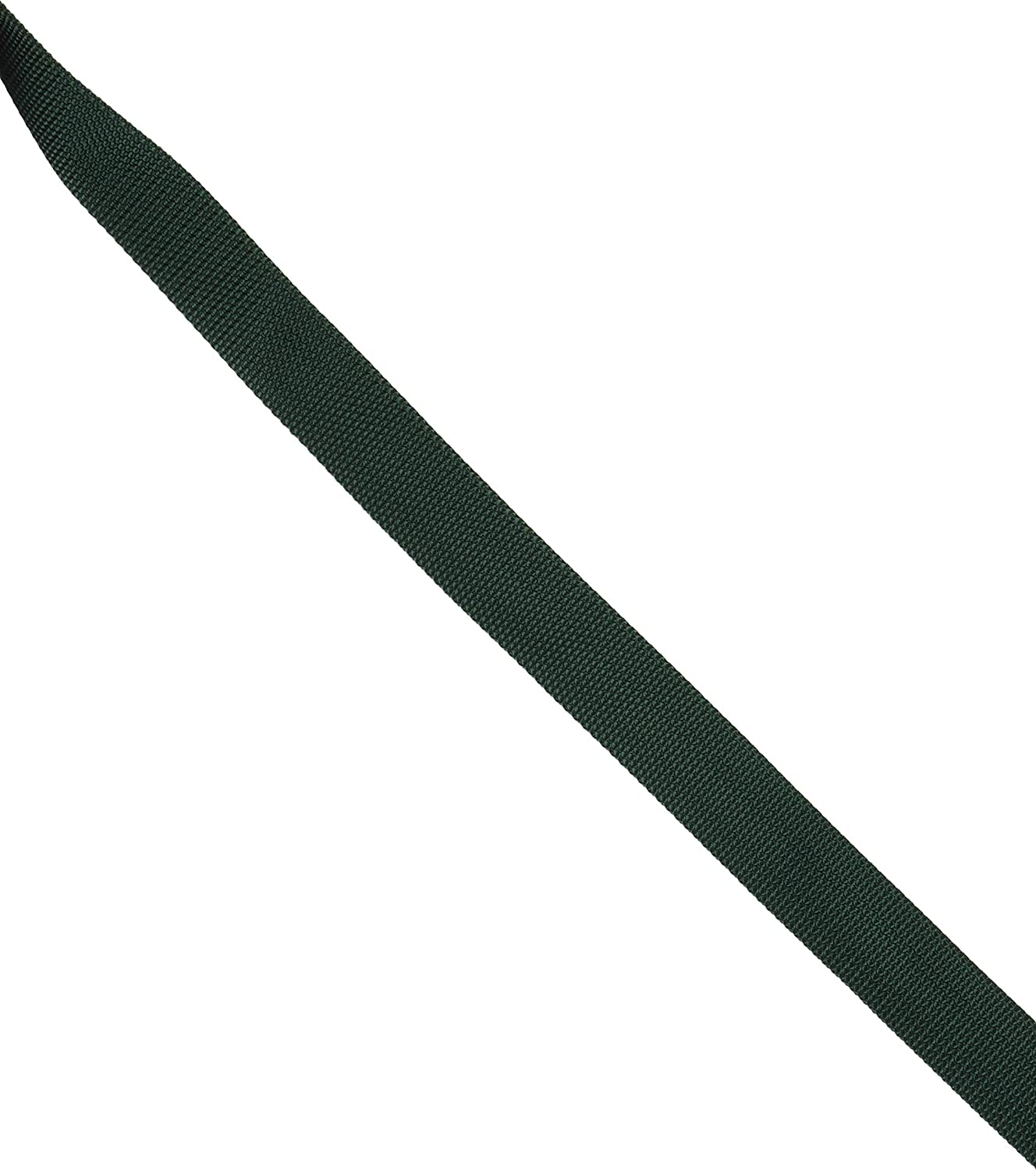 日本紐釦貿易 カラフルポリテープ 30mm幅×10m巻 濃グリーン MHP3010-48 （ご注文単位1巻）【直送品】