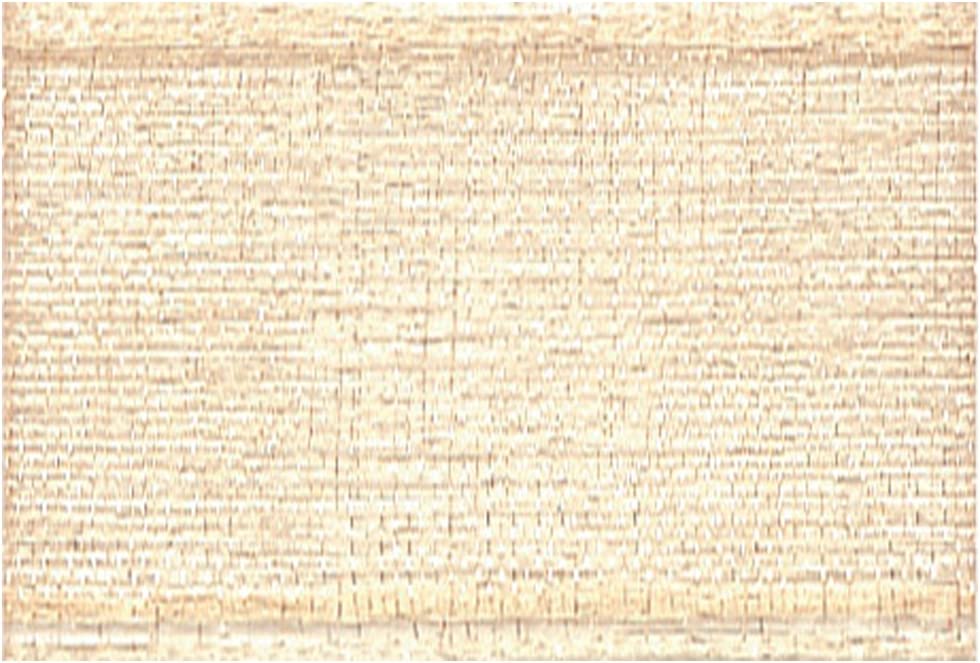 日本紐釦貿易 SHINDO オーガンジーリボン 25mm 15m巻 色26 SIC112 (ご注文単位1巻)【直送品】