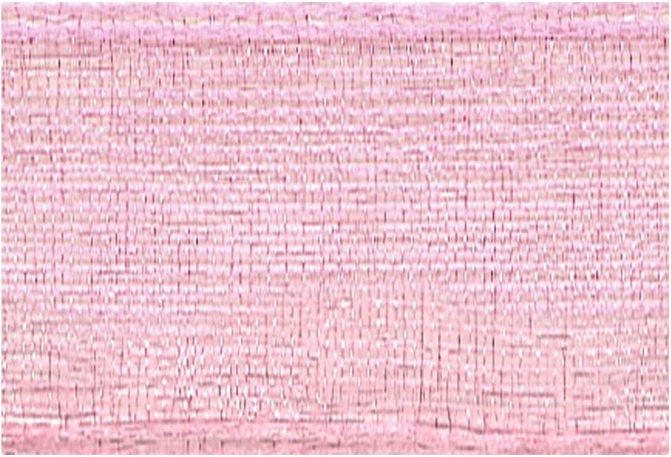 日本紐釦貿易 SHINDO オーガンジーリボン 25mm 15m巻 色39 SIC112 （ご注文単位1巻）【直送品】