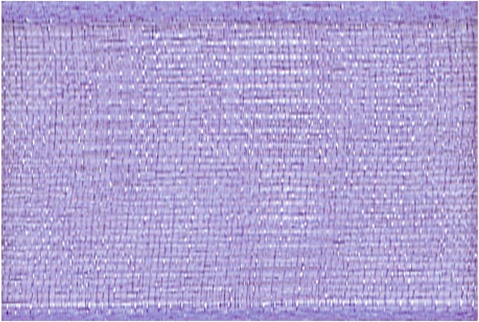 日本紐釦貿易 SHINDO オーガンジーリボン 25mm 15m巻 色46 SIC112 （ご注文単位1巻）【直送品】