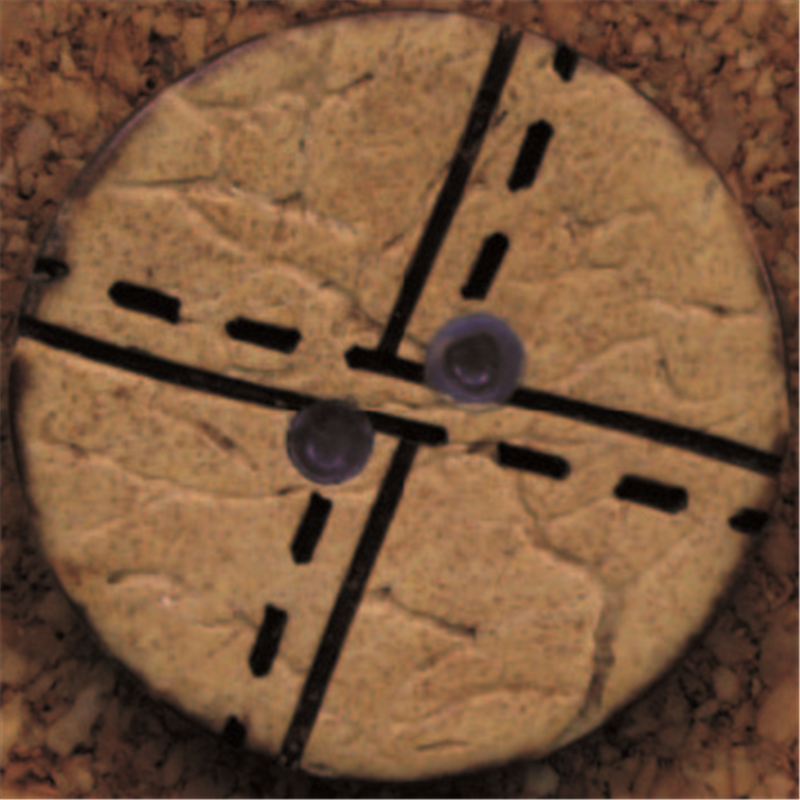 日本紐釦貿易(Nippon Chuko) ハワイアンボタン 13ｍｍ 8個 CG1301 1袋（ご注文単位1袋）【直送品】