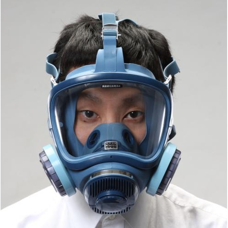 エスコ EA800MP-2 防塵マスク(全面形) 1個（ご注文単位1個）【直送品】
