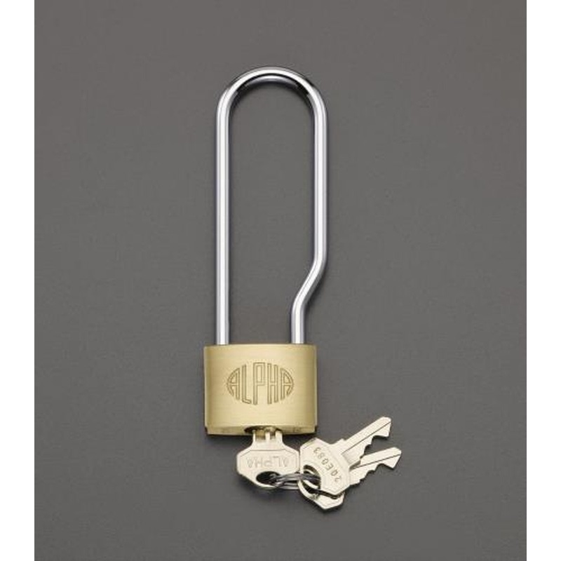 エスコ EA983SA-25S 25mmシリンダー南京錠(59mm吊長/同一キー) 1個（ご注文単位1個）【直送品】