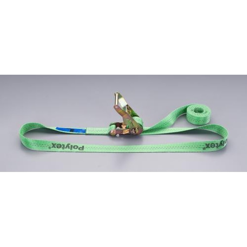 エスコ EA982CG-4 35mmx4.0m/660kgベルト荷締機(エンドレス型) 1個（ご注文単位1個）【直送品】