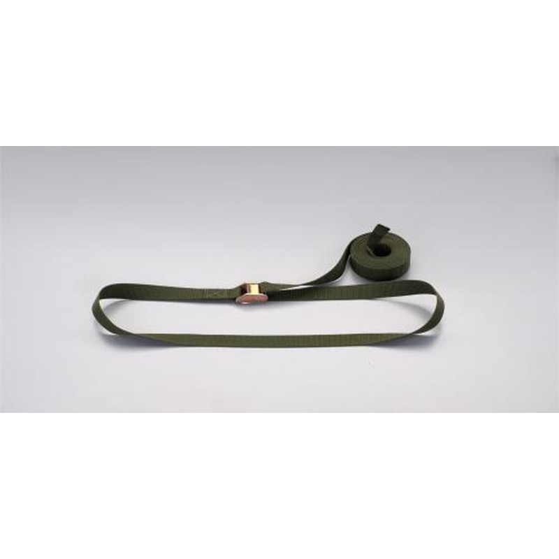 エスコ EA982BA-38G 25mmx4.8m荷締ストラップ(OD) 1個（ご注文単位1個）【直送品】