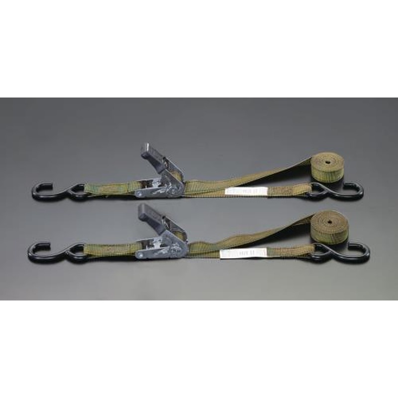 エスコ EA982BA-11B 25mmx3.6mベルト荷締機(ラチェット式/カモー2本組) 1個（ご注文単位1個）【直送品】