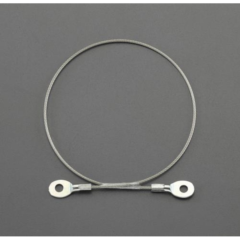 エスコ EA628ST-2 φ1.0x300mmステンレスワイヤー(ビス止め端子付) 1個（ご注文単位1個）【直送品】