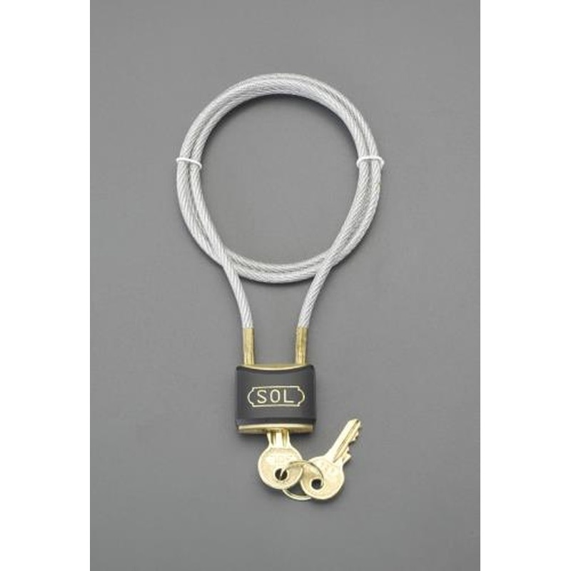 エスコ EA983TT-51 750mmワイヤー錠 1個(ご注文単位1個)【直送品】