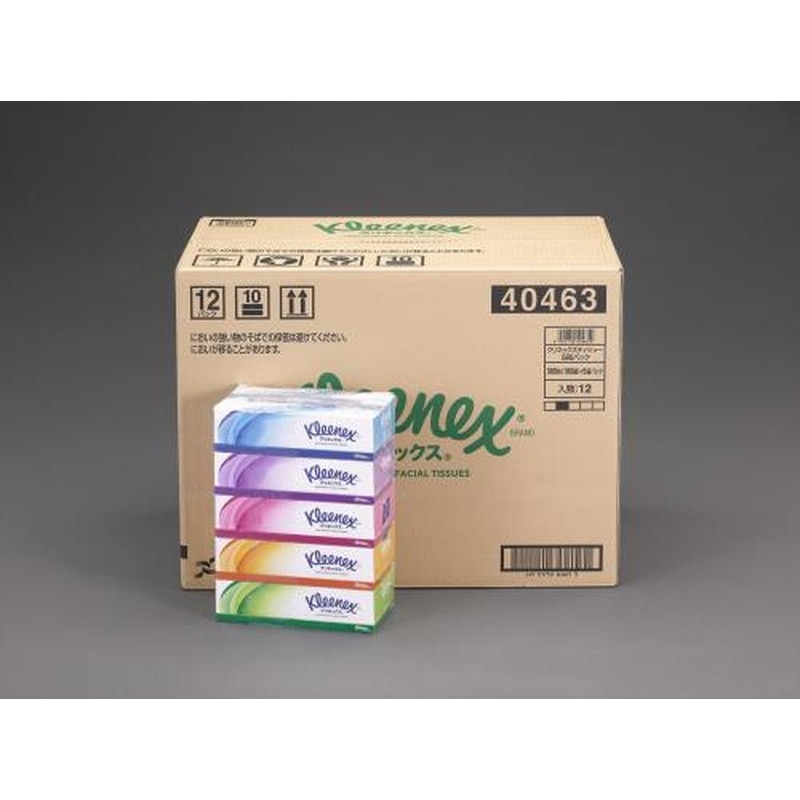 エスコ EA929A-10B ティッシュペーパー(クリネックス/60箱) 1個（ご注文単位1個）【直送品】
