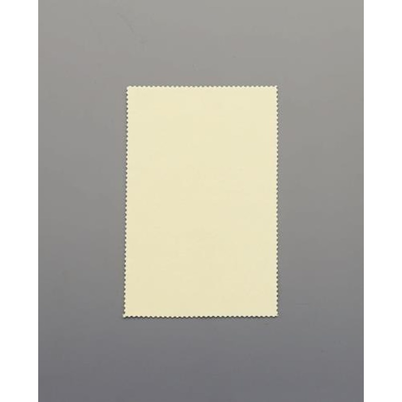 エスコ EA929DA-20 125x195mm貴金属用磨きクロス(研磨材入り) 1個（ご注文単位1個）【直送品】
