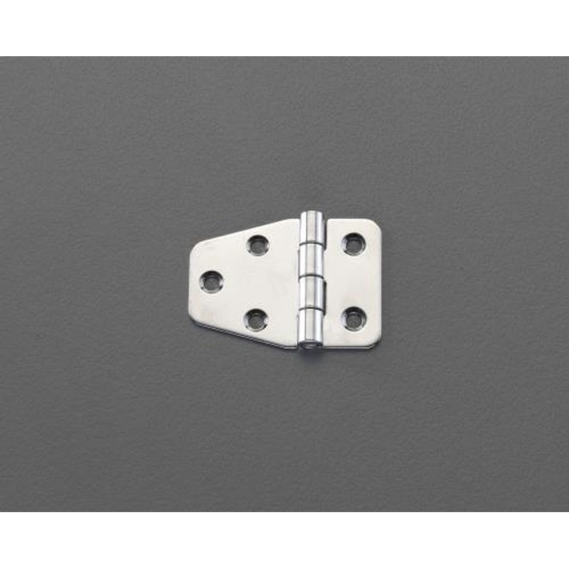 エスコ EA951CX-301 40x55mmヒンジ(ステンレス製/2個) 1個（ご注文単位1個）【直送品】