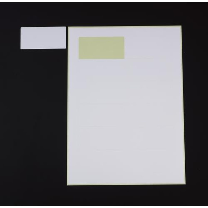 エスコ EA759XD-41 A4判/1面プリンターラベル(粗面対応/10枚) 1個(ご注文単位1個)【直送品】