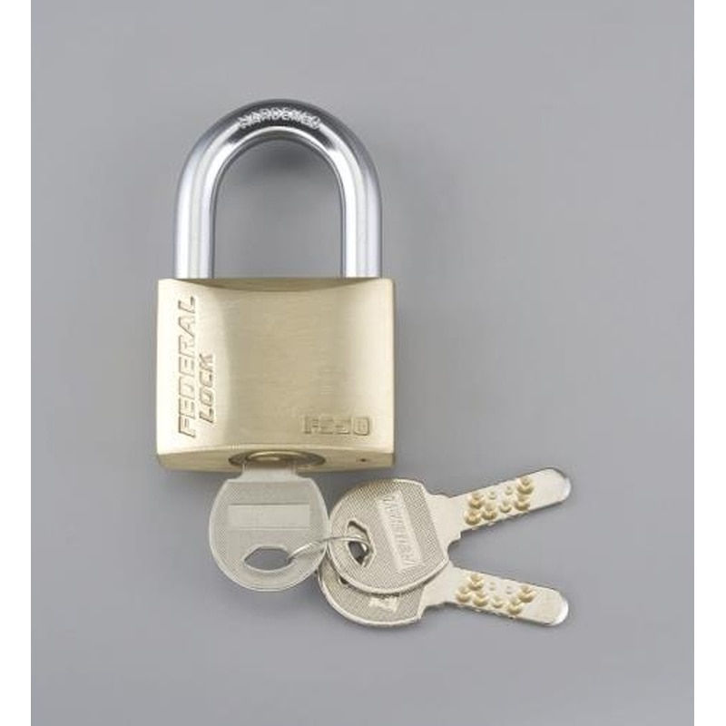 エスコ EA983SZ-60 60mmシリンダー南京錠(ディンプルキー) 1個（ご注文単位1個）【直送品】