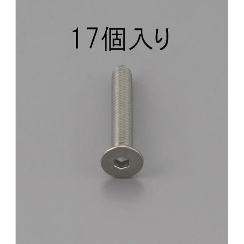エスコ EA949MD-510 M5x10mm六角穴付皿頭ボルト(ステンレス/17本) 1個（ご注文単位1個）【直送品】