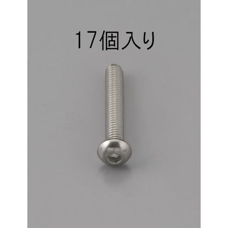 エスコ EA949MF-416 M4x16mm六角穴付鍋頭ボルト(ステンレス製/17本) 1個（ご注文単位1個）【直送品】
