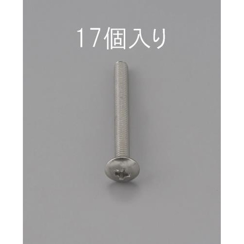 エスコ EA949NH-210 M2x10mmトラス頭小ねじ(ステンレス製/17本) 1個（ご注文単位1個）【直送品】