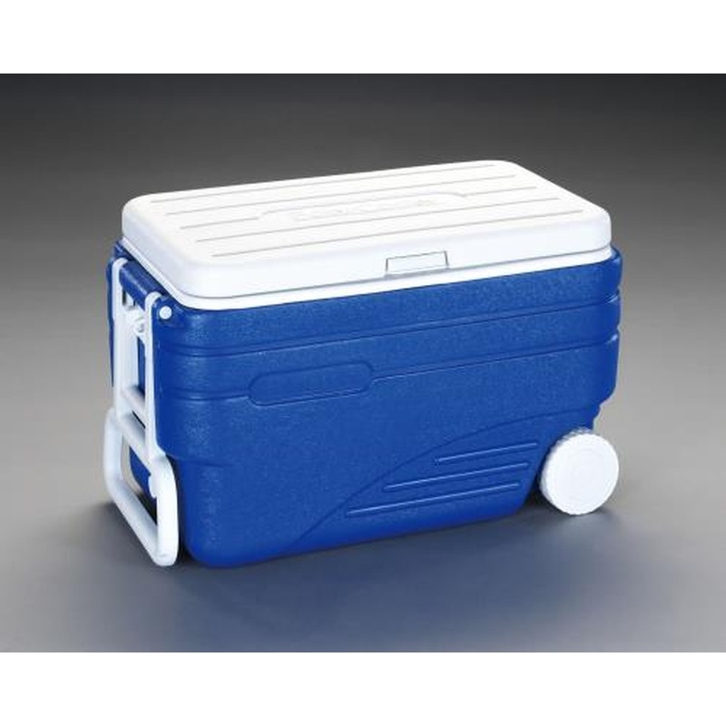 エスコ EA917AJ-47 620x360x390mm/47Lクーラーボックス 1個（ご注文単位1個）【直送品】