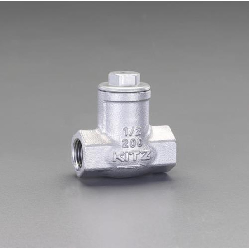 エスコ EA465AE-14 1・1/2”リフトチャッキバルブ 1個(ご注文単位1個)【直送品】