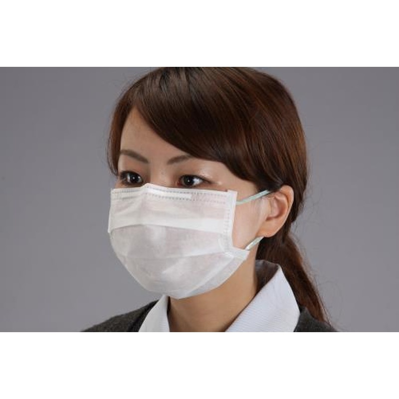 エスコ EA800MF-53 マスク(クリーンルーム用/耳かけ/50枚) 1個（ご注文単位1個）【直送品】