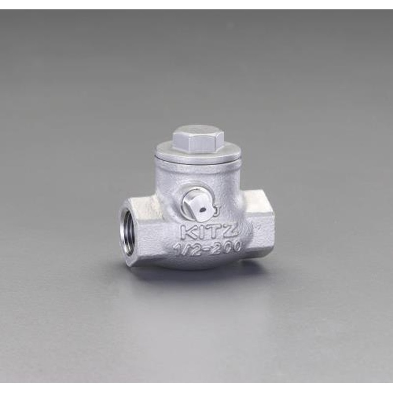 エスコ EA465AA-14 1・1/2”スイングチャッキバルブ 1個（ご注文単位1個）【直送品】