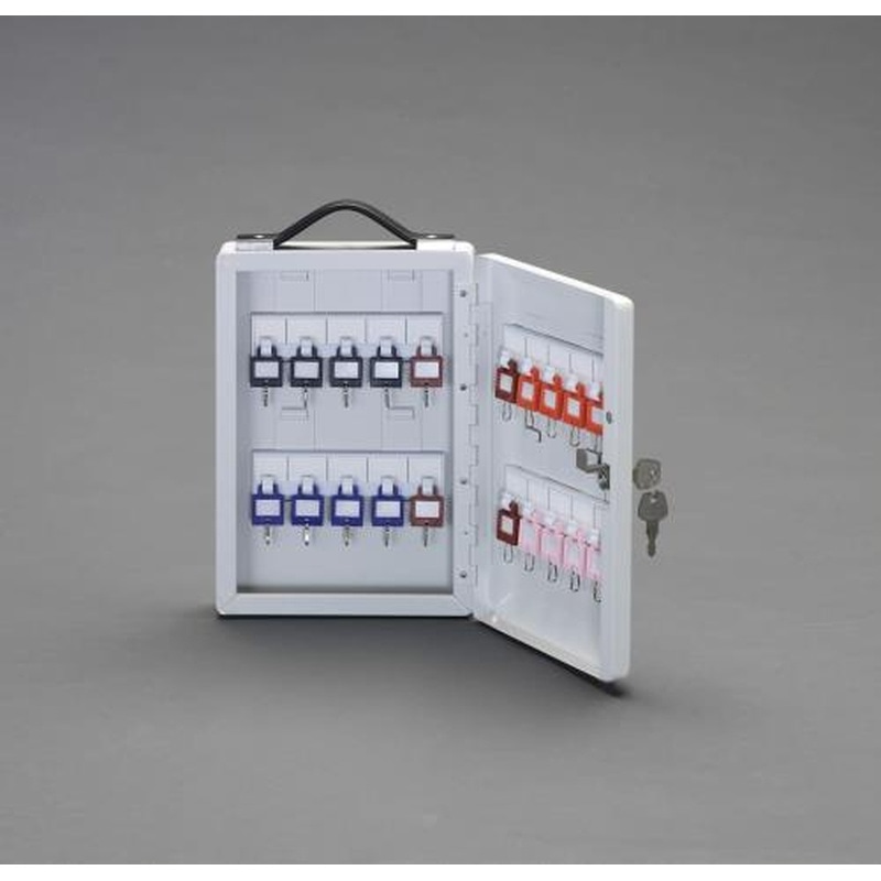 エスコ EA956VH-20 195x60x282mmキーボックス(20本用) 1個（ご注文単位1個）【直送品】