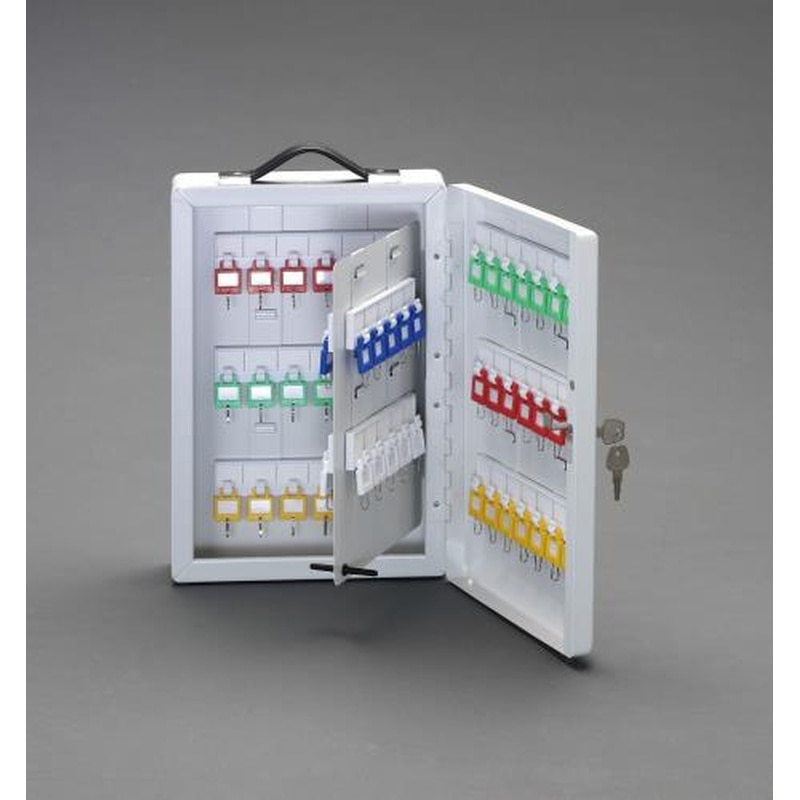 エスコ EA956VH-60 250x90x370mmキーボックス(60本用) 1個（ご注文単位1個）【直送品】